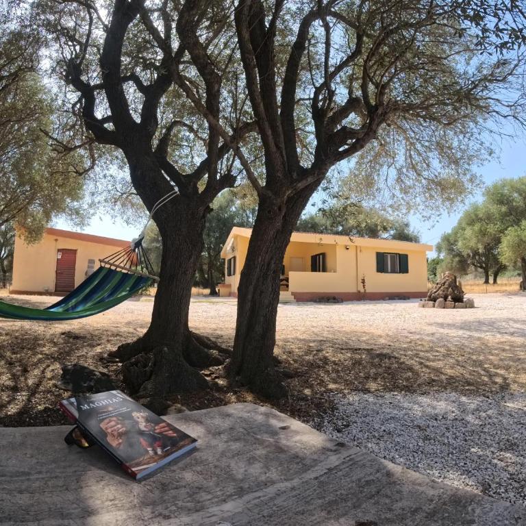 Casa Aura mare Orosei - Four-Bedroom House - 12