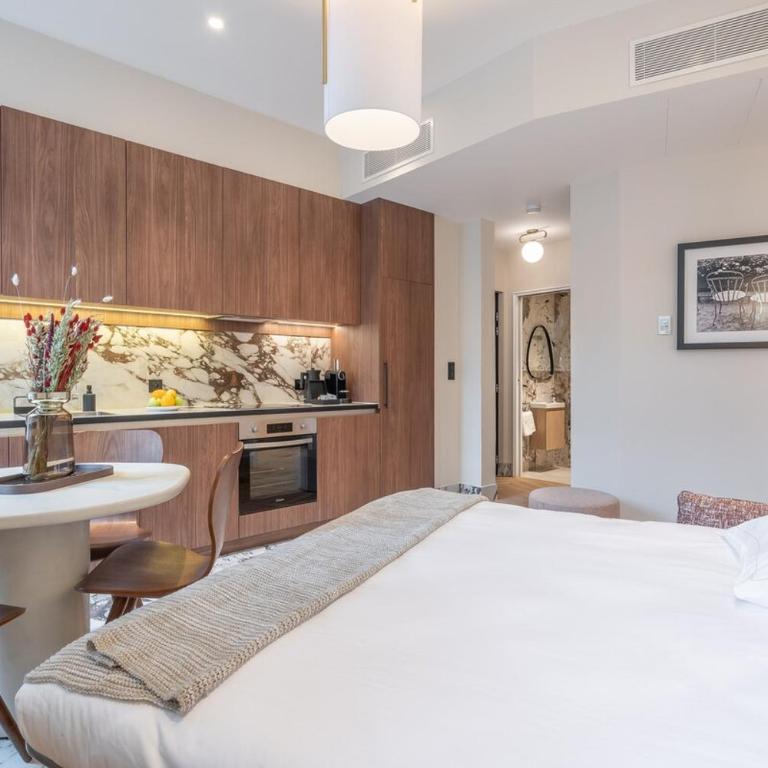 Haussmannian luxury - Appartement 1 Chambre - 18