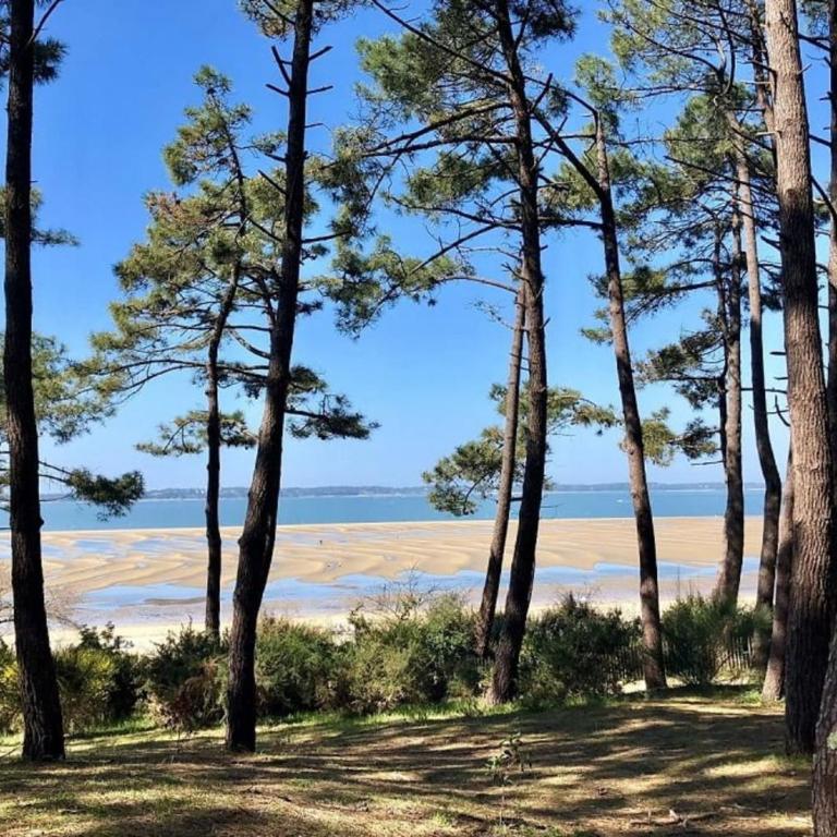 Apartment with balcony in the heart of Arcachon - Apartment - 7