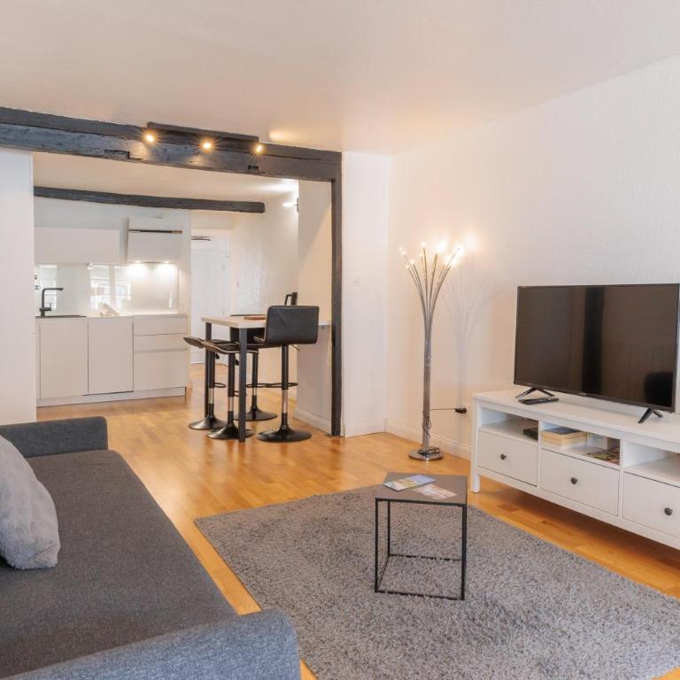 Le Gutenberg - Joli T2 dans le Carré d'Or - One-Bedroom Apartment - 1