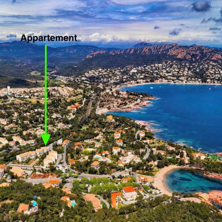 Studio cosy à 200m de la mer! - Studio Apartment with One Double Bed - 1