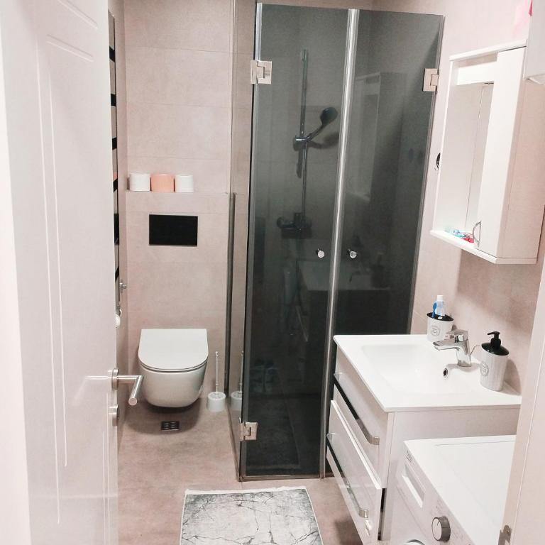 Apartman Vracar - Apartment mit 1 Schlafzimmer - 24