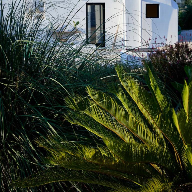 Trullo KAVA - Ceglie Messapica - Villa con 2 Camere da Letto - 39