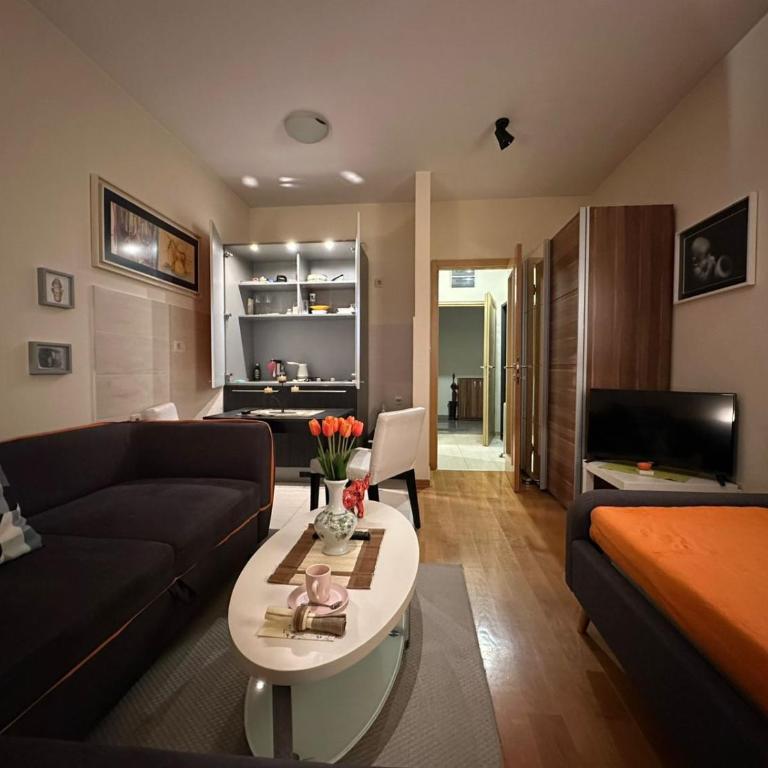 Hillton Art Apartments - Studio Apartman s Balkonom - 12