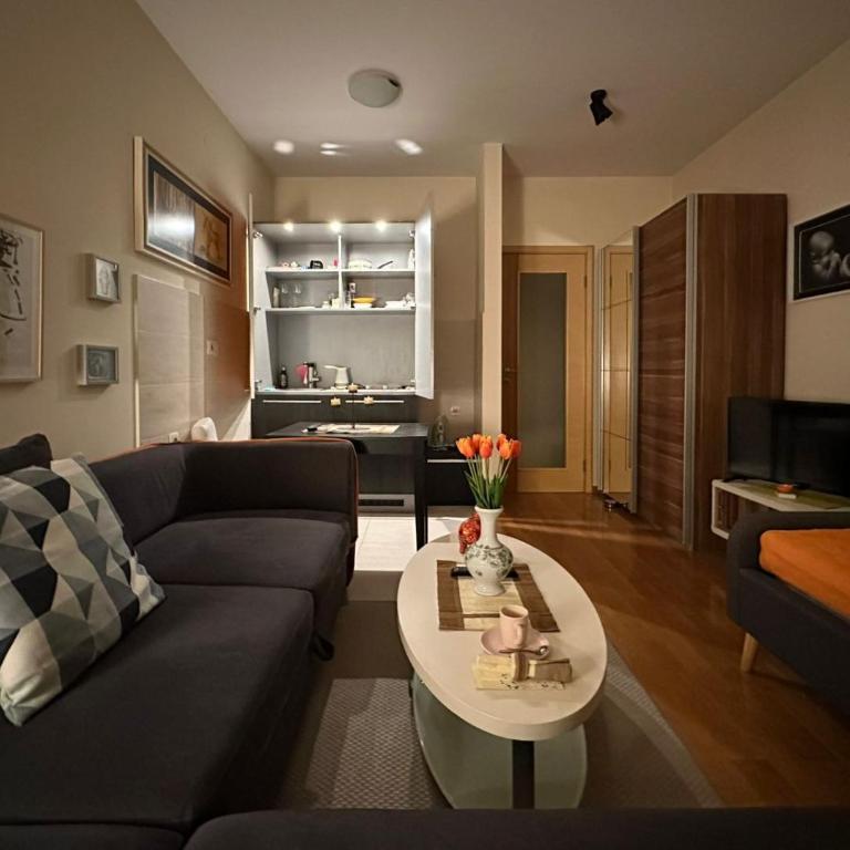 Hillton Art Apartments - Studio Apartman s Balkonom - 17