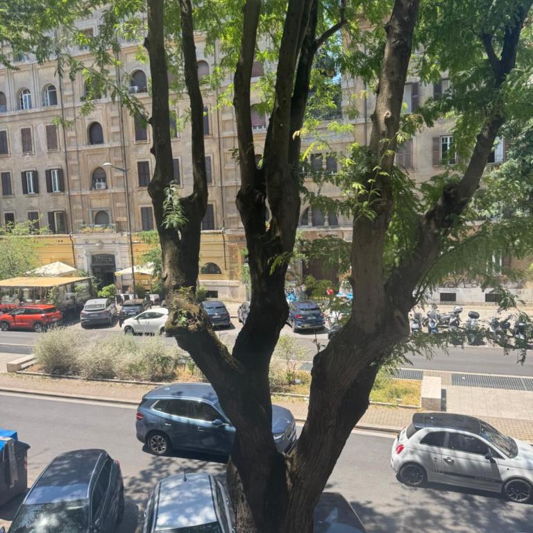Domus Romana Prati - Appartamento con 1 Camera da Letto - 23