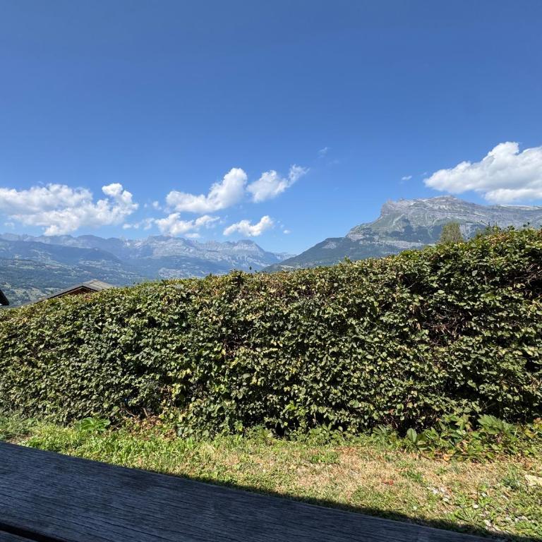 Chalet cosy proche Tramway du Mont-Blanc et centre - Chalet - 37