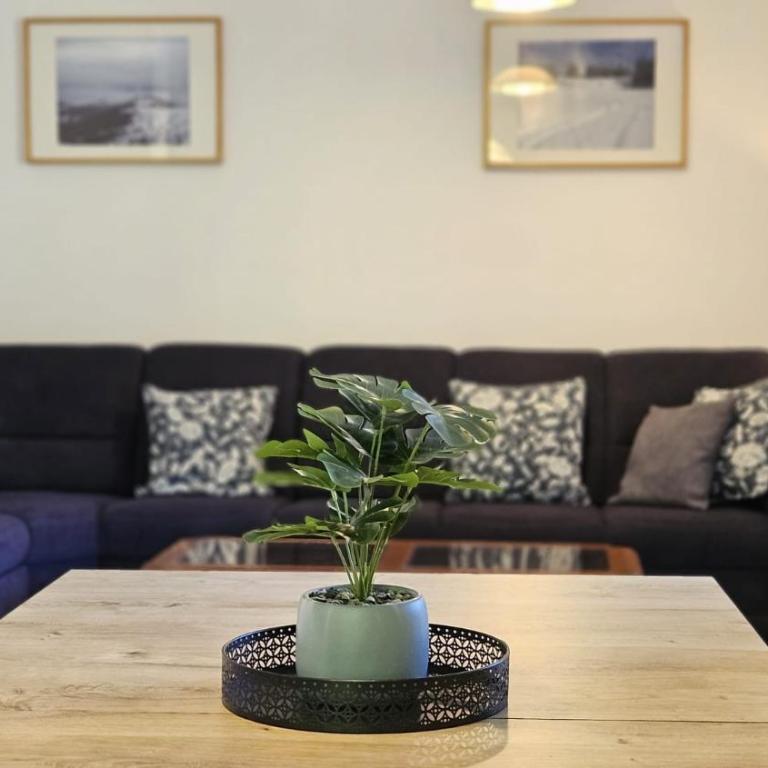 Chalet Vergissmeinnicht Includes Zell am See Kaprun Summer Card - Chalet mit 3 Schlafzimmern - 41