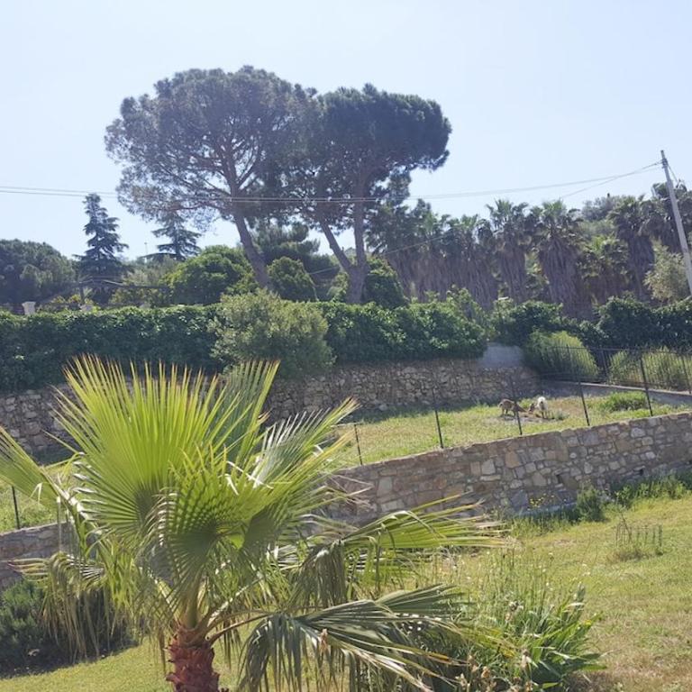 Villa Lazzarini appartamento Giulia - Appartamento con 2 Camere da Letto - 9