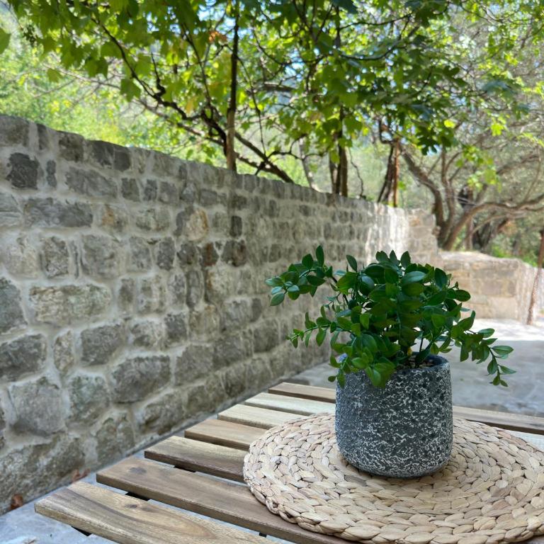 Wild Beauty Premium Apartment - Deluxe One-Bedroom Apartment with Garden View - 13