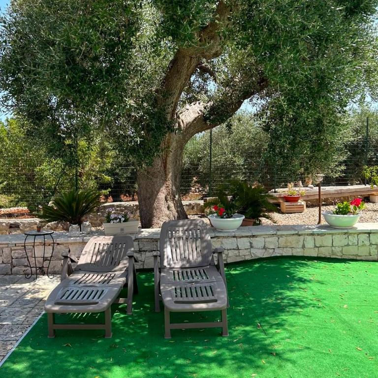 I Trulli di nonno Oronzo - Casa Vacanze - 6