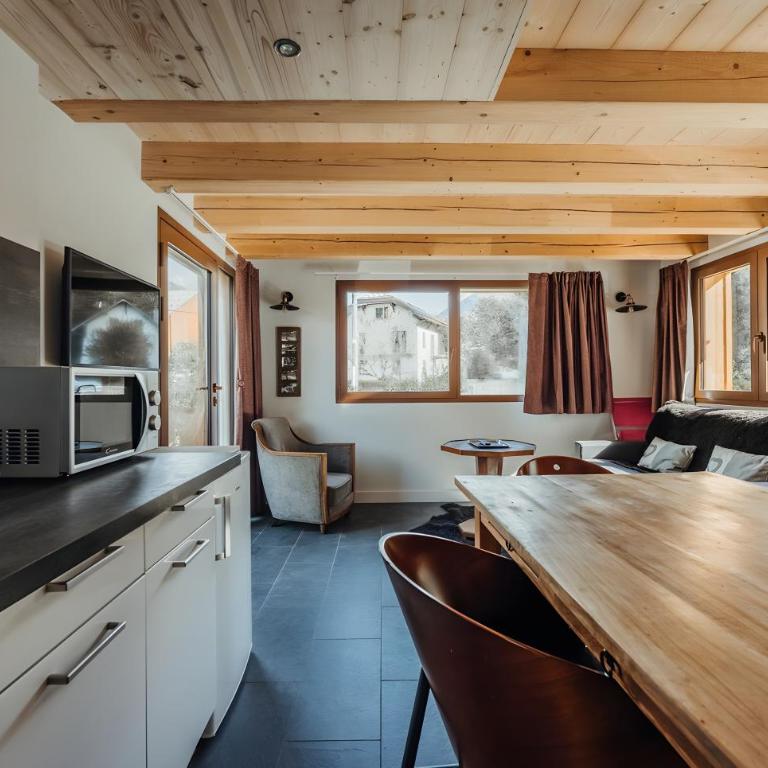 Marius - Chalet 1CH Jardin Garage Balcons 5mnCentre - Chalet - 9