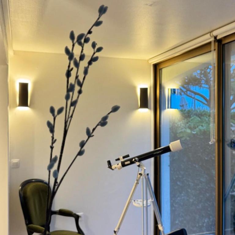 Azur Pied-à-Terre Cannes Mandelieu - Appartement 1 Chambre avec Jardin - 3