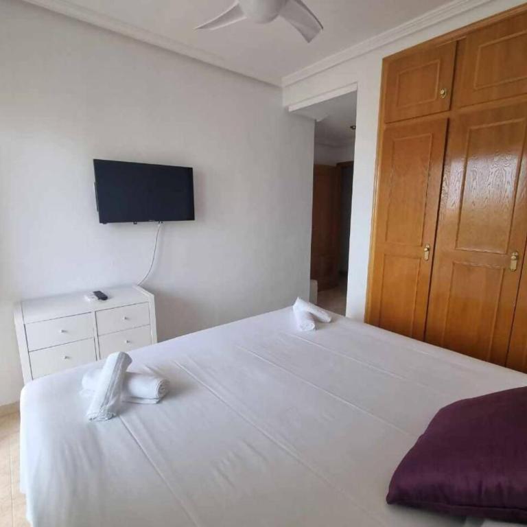 Campello playa y sol |Holirent - Apartamento - 15