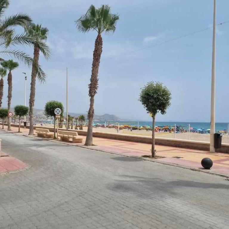 Campello playa y sol |Holirent - Apartamento - 21