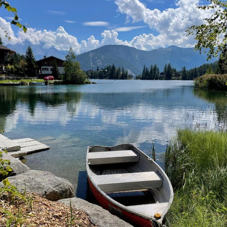L'Attique du Vieux-Champex - Apartment mit 2 Schlafzimmern - 14