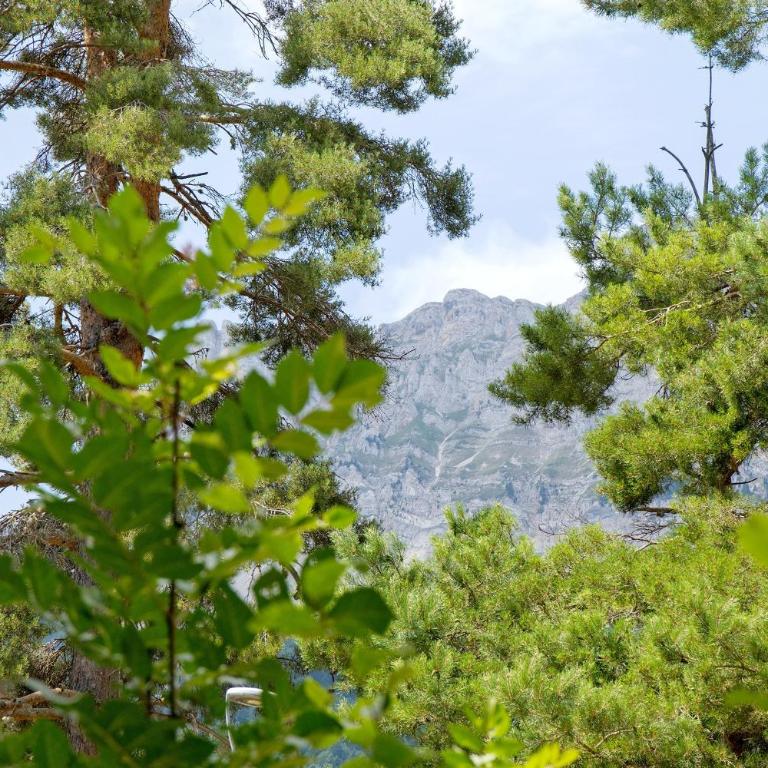 Les Centaurees - Appartement 1 Chambre - Vue sur Jardin - 5