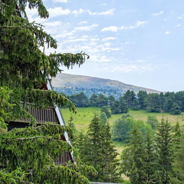 Les Centaurees - Appartement 1 Chambre - Vue sur Jardin - 20