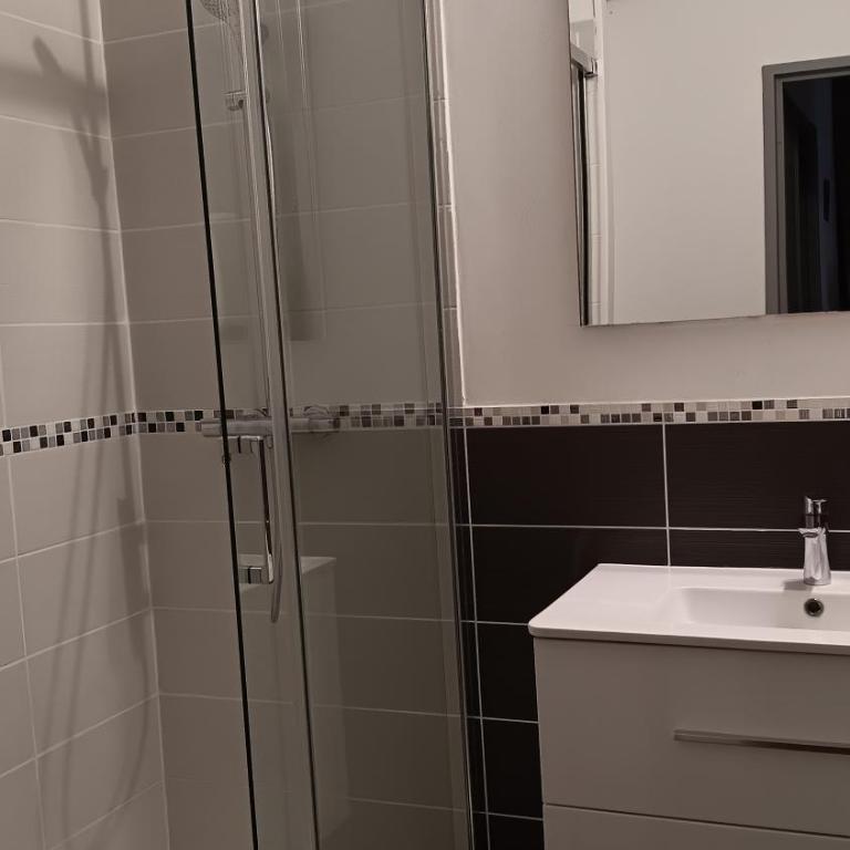 T2 rénové avec parking et balcon proche de toutes commodités calme et lumineux - Appartement 2 Chambres - 12