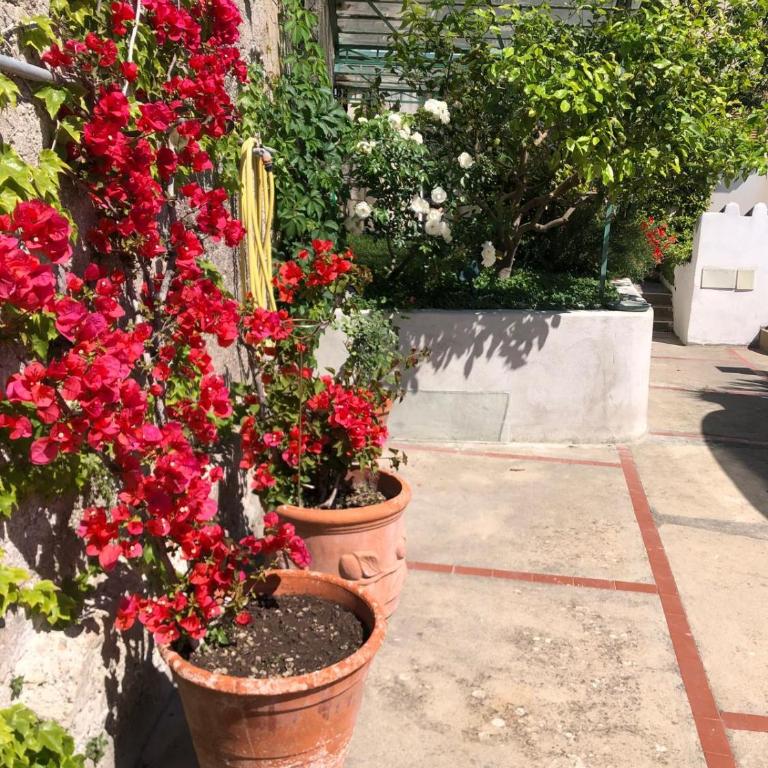 Casa San Matteo - Positano - Appartamento Superior con 2 Camere da Letto - 19