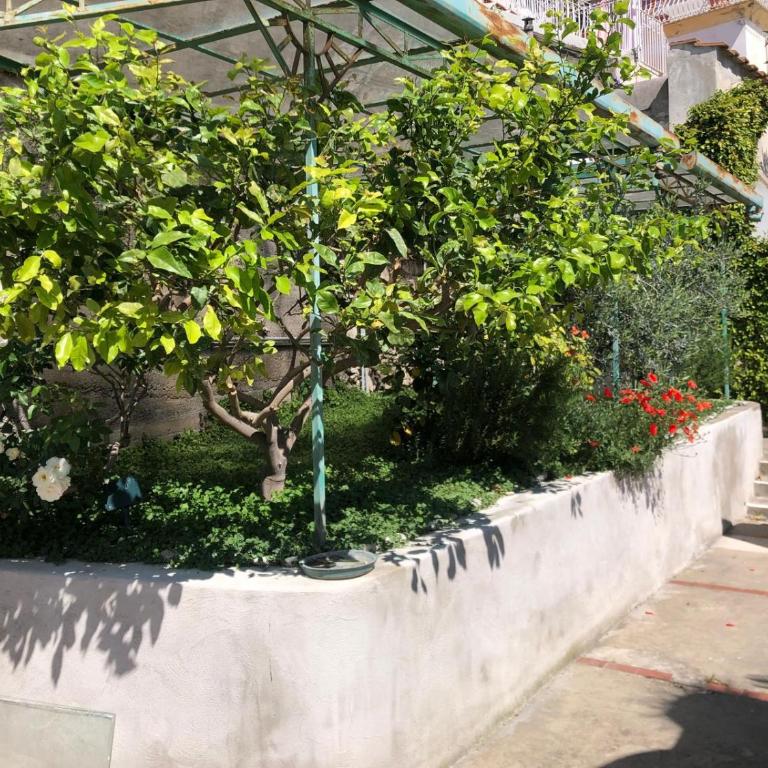 Casa San Matteo - Positano - Appartamento Superior con 2 Camere da Letto - 20