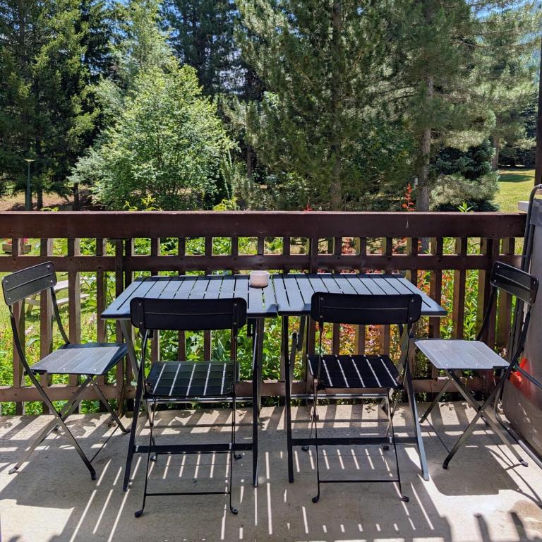 Studio tout confort au pied des pistes de ski - Studio - 16