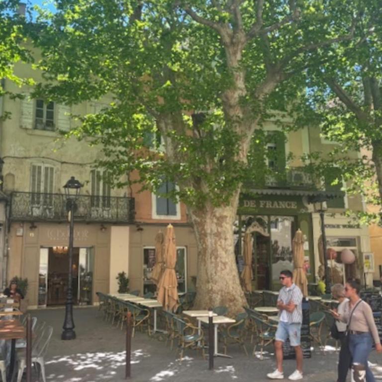 Elivi Elegant Art Deco house with Garden Walk to the Heart of Town - Maison de Vacances - 26