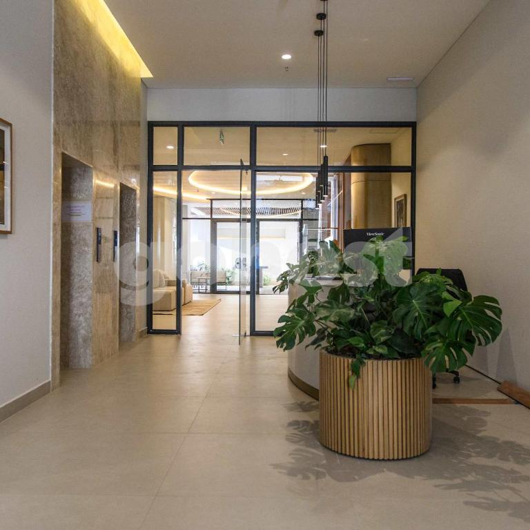 Executive 2 BR Apartment in Molas Lopez - Apartamento - 26