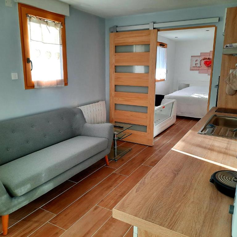 Votre studio balnéo bien-être à la montagne - Appartement 1 Chambre - 2