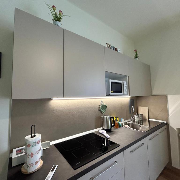 Grisoni Brothers' Lake House - Grisoni Sun Terrace - One-Bedroom Apartment - 40