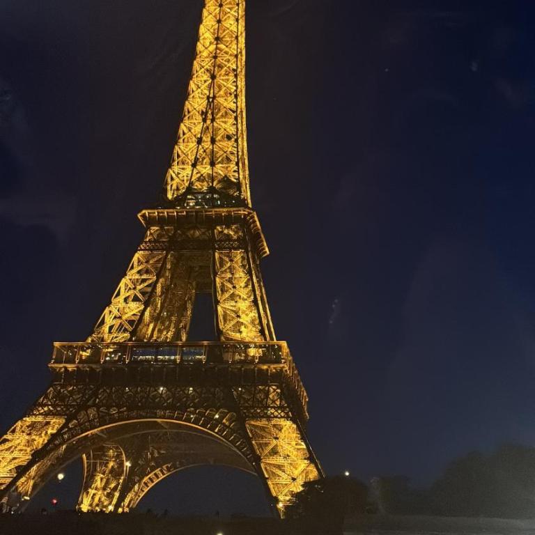 Riverside Elegance with Trocadero and Eiffel Tower Just Minutes Away - Appartement 2 Chambres - 15