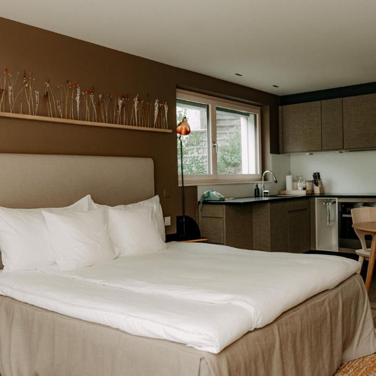 OVERLOOK Lodge by CERVO Zermatt - Estudio Vista con vistas al Matterhorn - 6