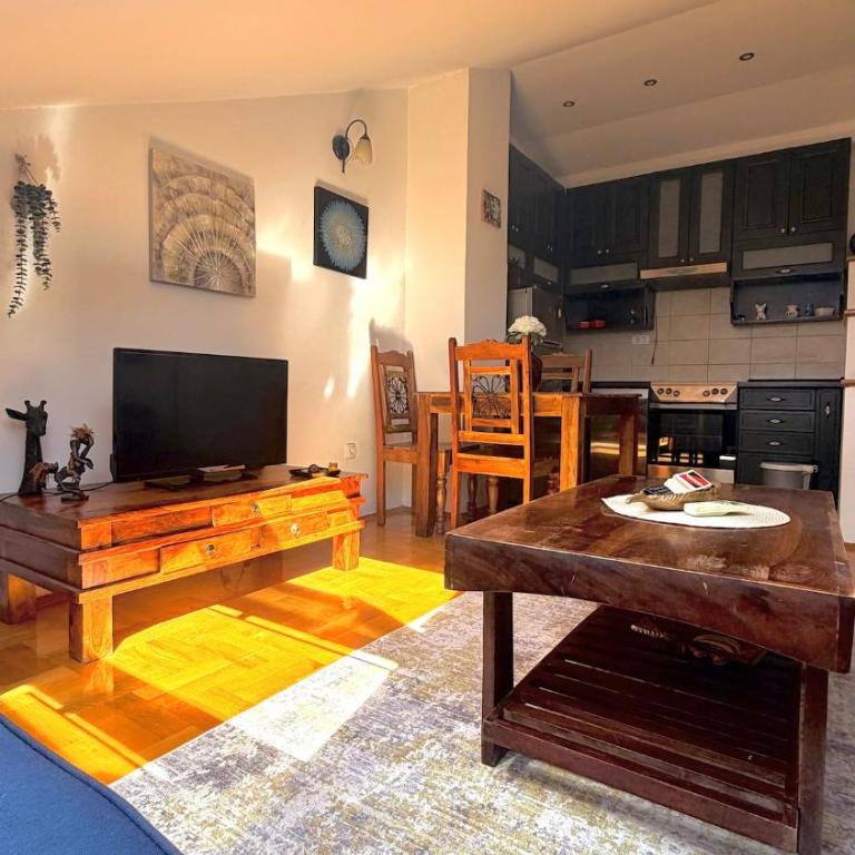 Apartment near Vezir's Bridge - Apartman sa 1 Spavaćom Sobom - 1