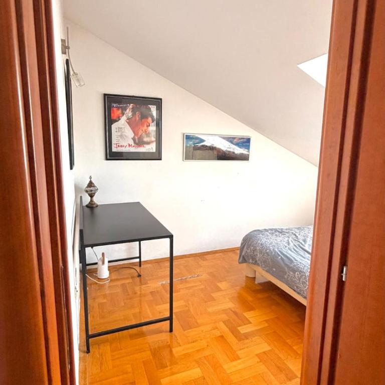 Apartment near Vezir's Bridge - Apartman sa 1 Spavaćom Sobom - 5