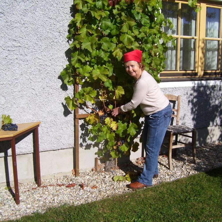 Log Home - Apartment mit 1 Schlafzimmer - 19