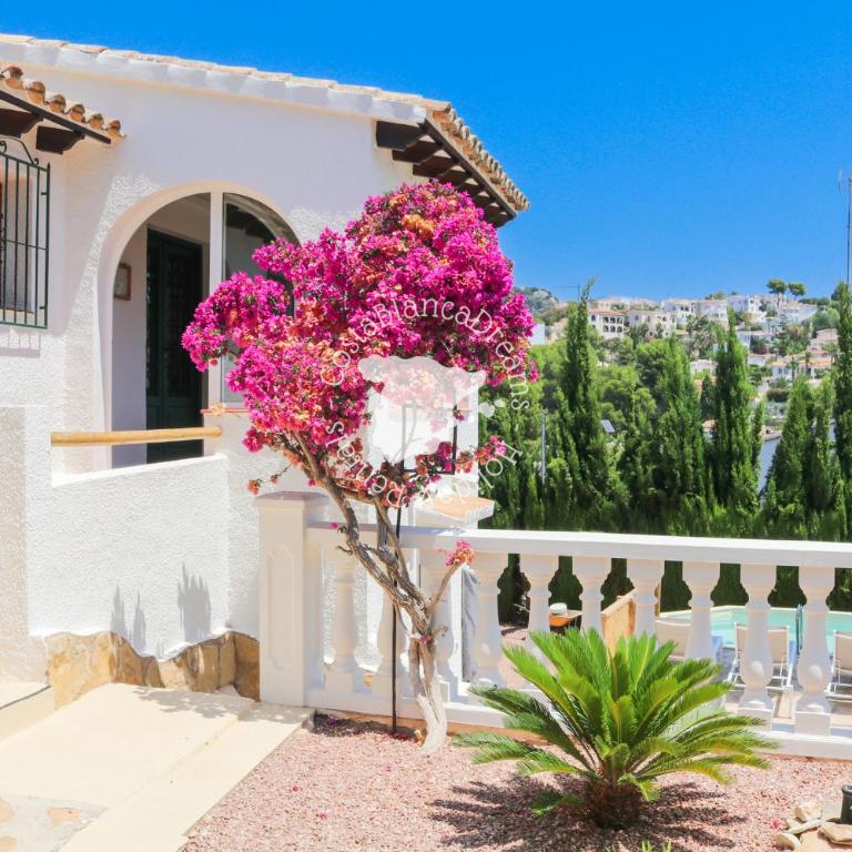 Villa Orquidia - Villa - 36