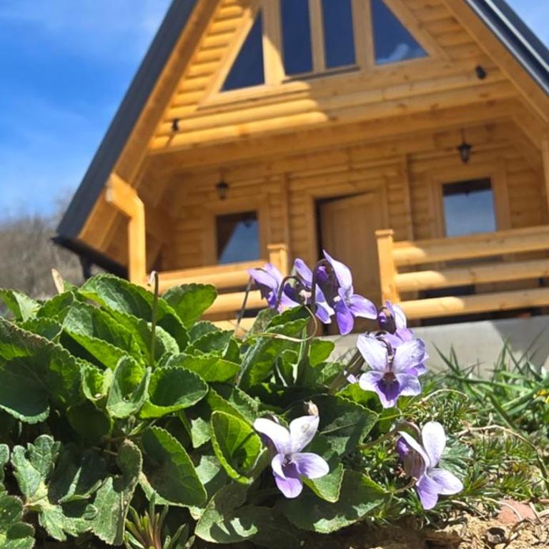 BB CHALET - Kuća sa 2 Spavaće Sobe - 2