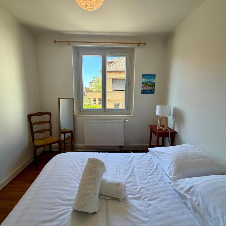 Charmante maison hypercentre de Thonon-les-Bains - Maison 4 Chambres - 8
