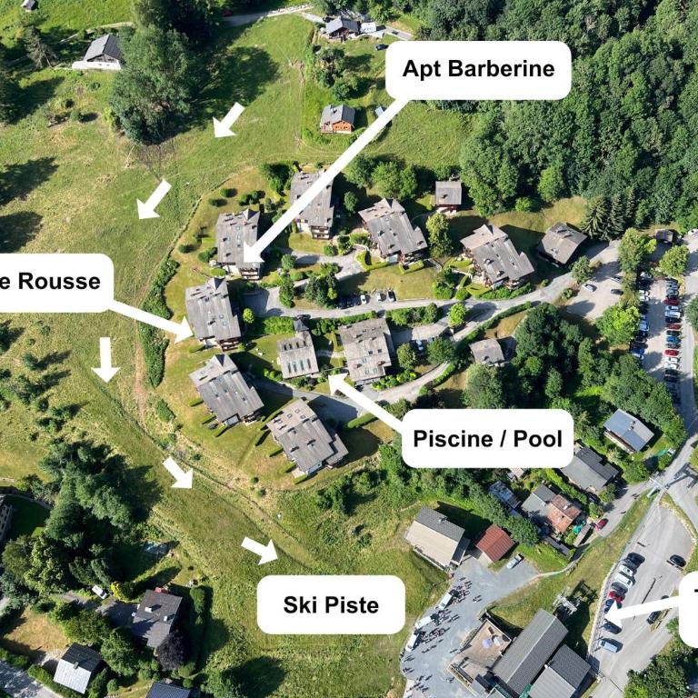 Apartment Barberine - piscine - pool, ski in-ski out - Appartement avec Vue sur la Montagne - 28