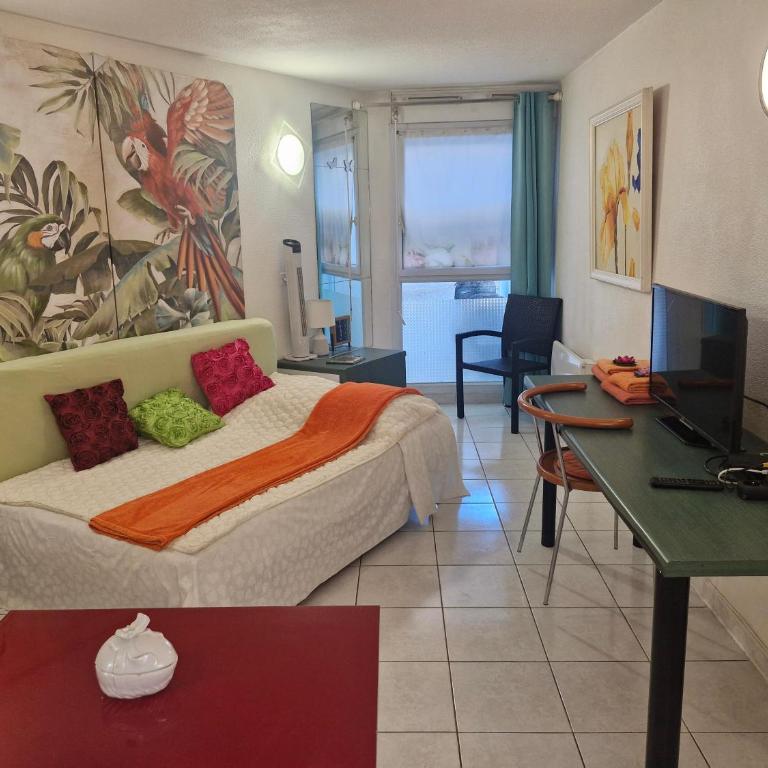 Superbe Studio 20m2 - Studio - 13