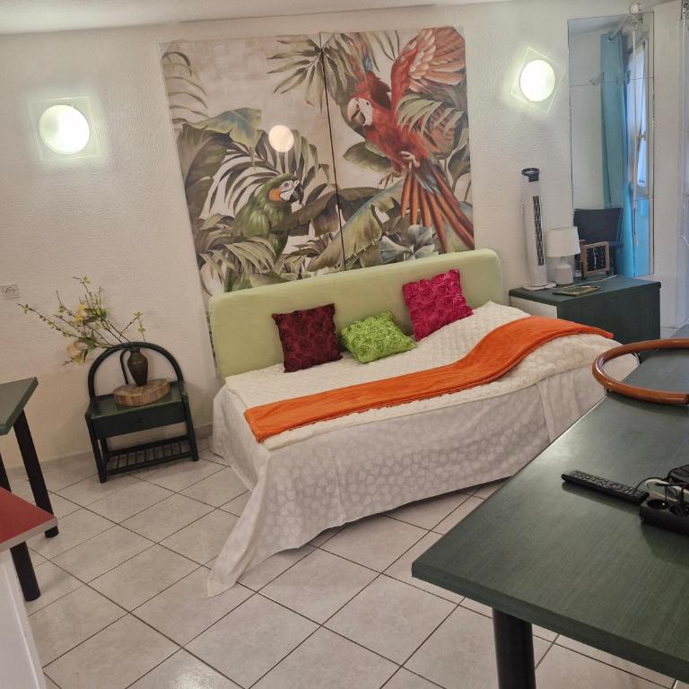 Superbe Studio 20m2 - Studio - 22