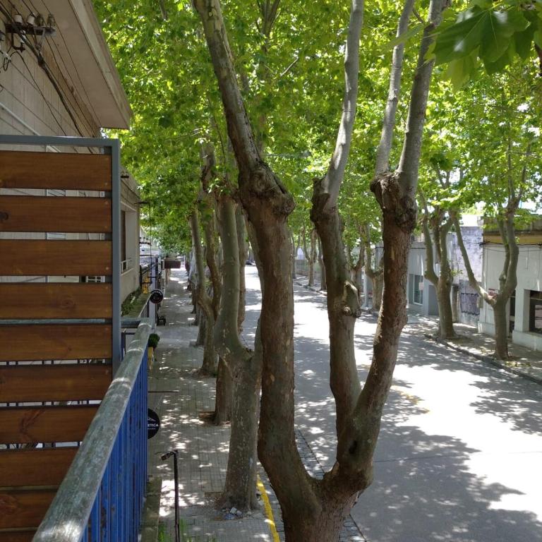 Iluminado monoambiente en el centro de Colonia - Apartamento de 1 dormitorio - 3