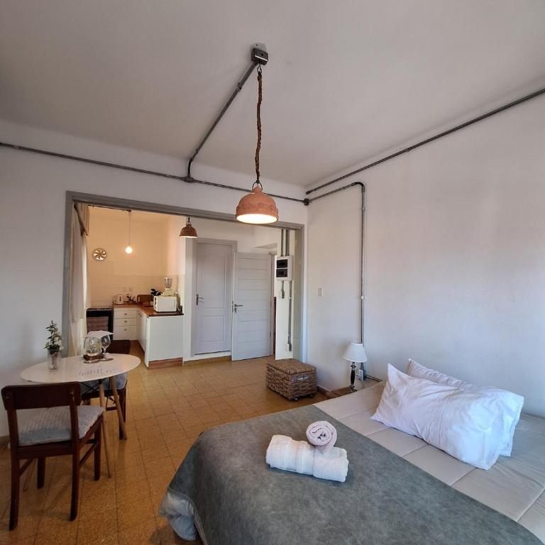 Iluminado monoambiente en el centro de Colonia - Apartamento de 1 dormitorio - 1