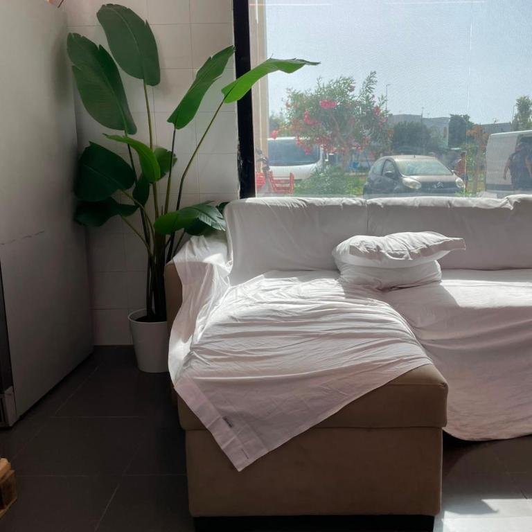 SF PrimoPiano - Appartamento con 1 Camera da Letto - 2
