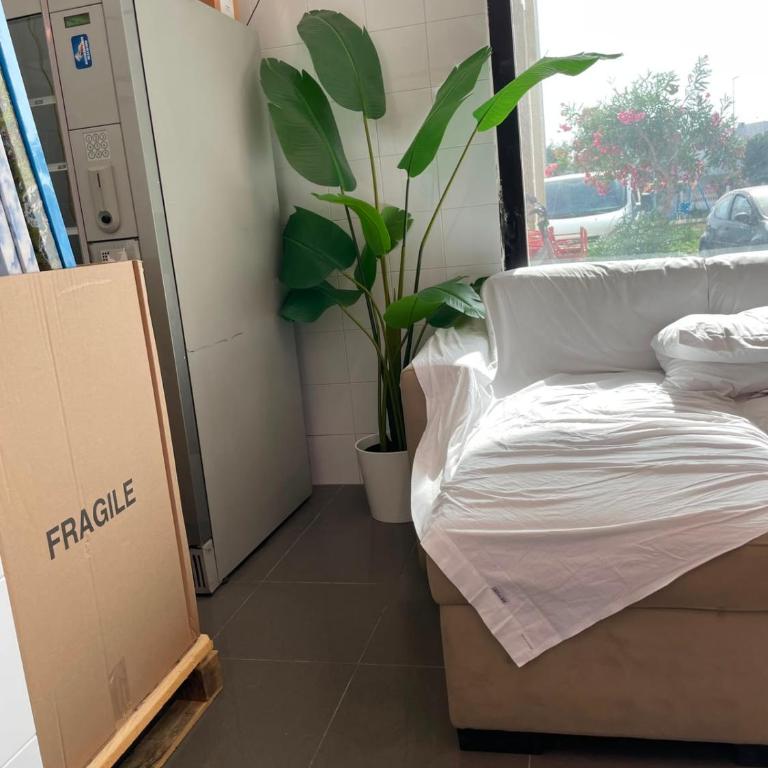 SF PrimoPiano - Appartamento con 1 Camera da Letto - 3