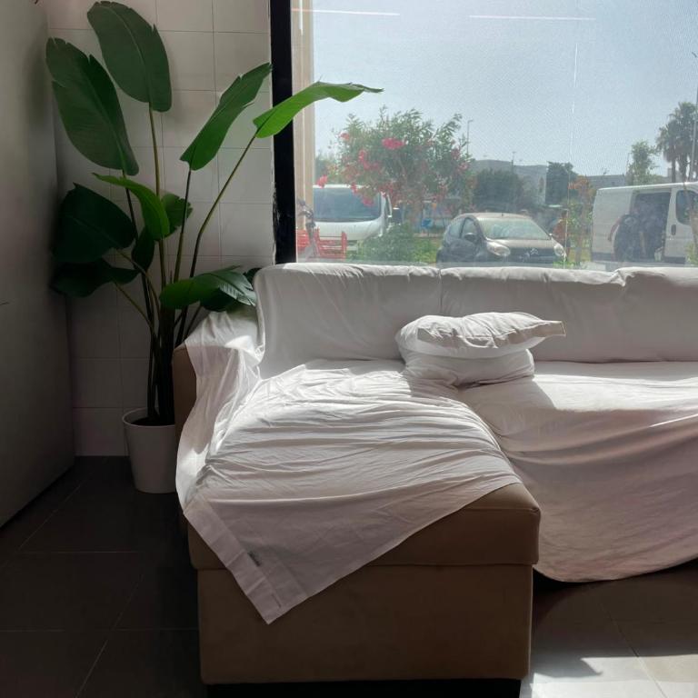 SF PrimoPiano - Appartamento con 1 Camera da Letto - 4
