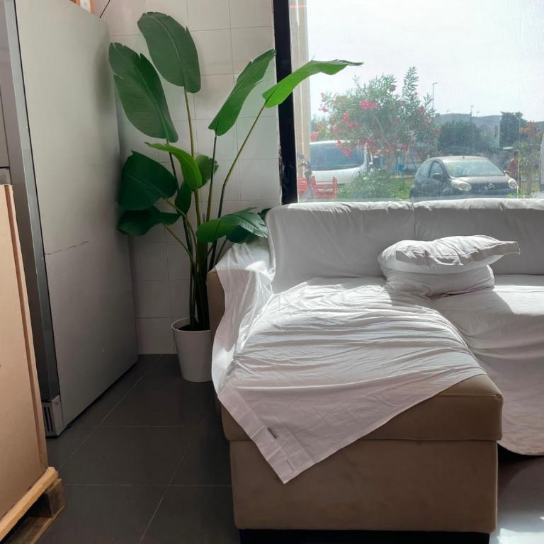 SF PrimoPiano - Appartamento con 1 Camera da Letto - 5