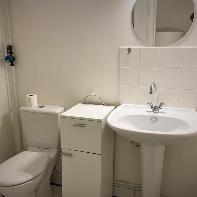Duplex dans l'hypercentre de Limoges - Apartment mit 1 Schlafzimmer - 6