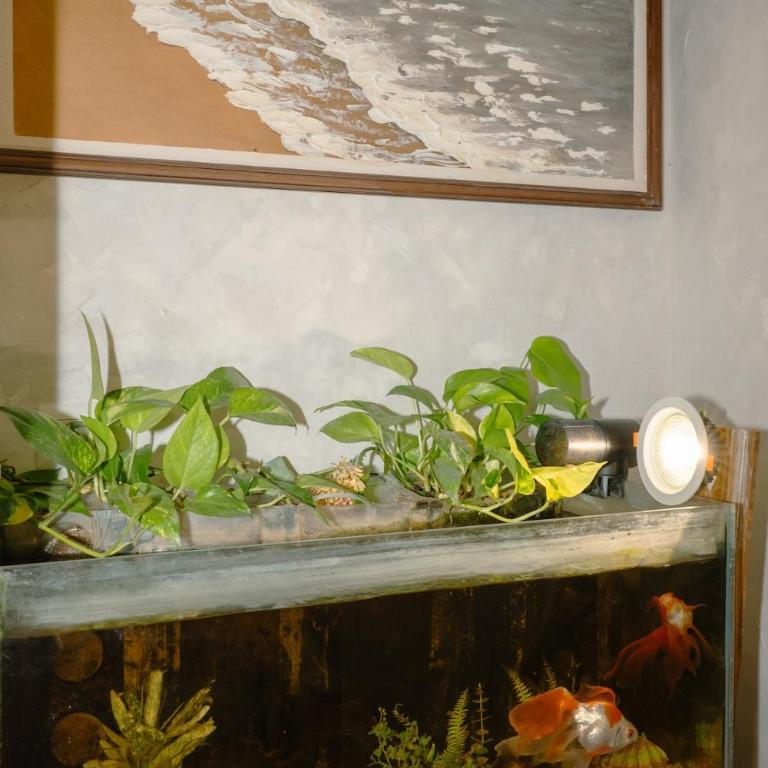 In the heart of Rome with garden and Jacuzzi - Appartamento con 1 Camera da Letto - 10