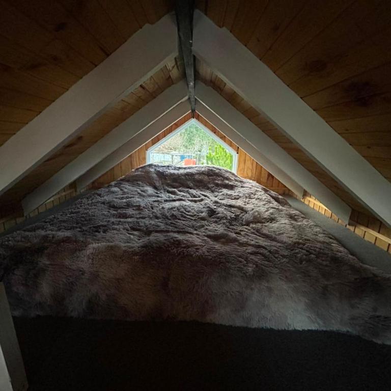 Dyl Tiny House con Jacuzzi - One-Bedroom House - 12
